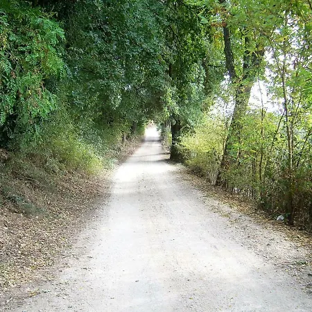 Casa Berti 아파트 *